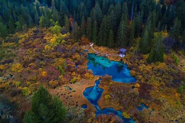 Zelenci - enodelna